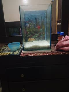 fish aquarium sale krna hai