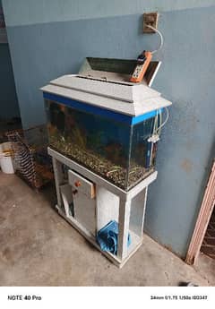 Aquarium with fancy fishes and other accessories