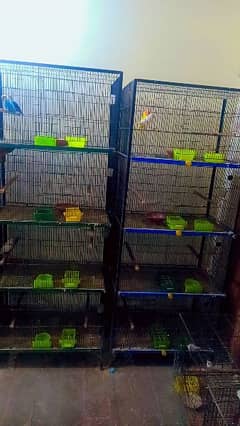 2. Cages available. . 4 khano waly. . 1.5. By. 2.5. . saiz location lahore