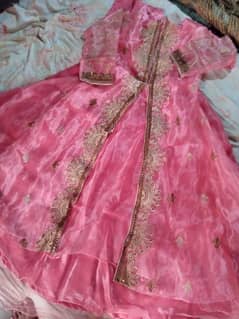 Silk organa 4 piece dress