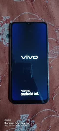 vivo