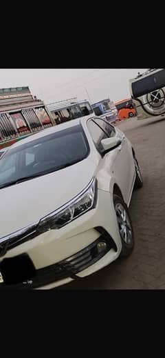 Toyota Corolla XLI 2019