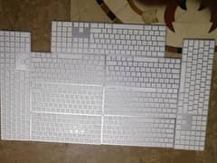 Apple Magic keyboards