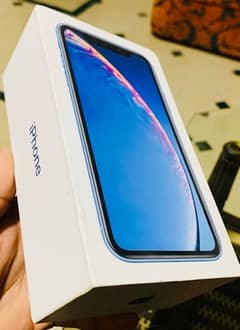 iPhone XR blue