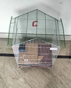 Parrots Cage