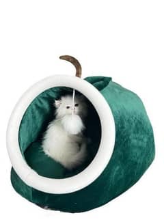Large size pet house for kitten in green colour