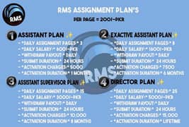RMS assignment work