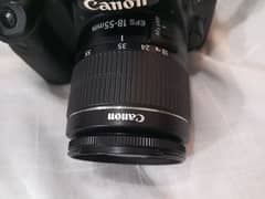 cannon 50mm stm//cannon 18''55 lens for sale