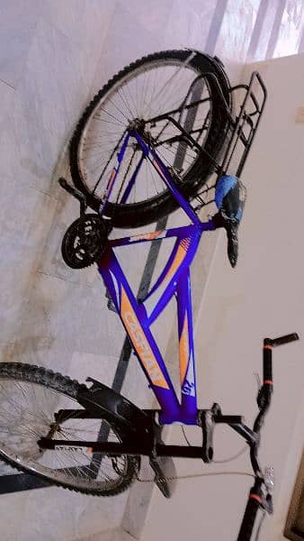 bicycle 1