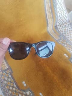 GUCCI sun glasses