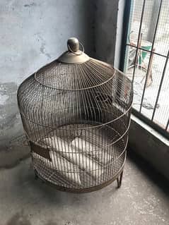 birds cages