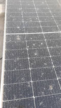 Two solar plates 545 watt for sale