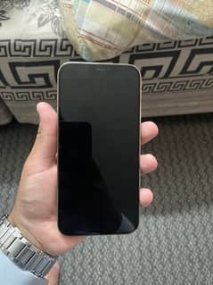 iphone 12 pro max 128gb non pta