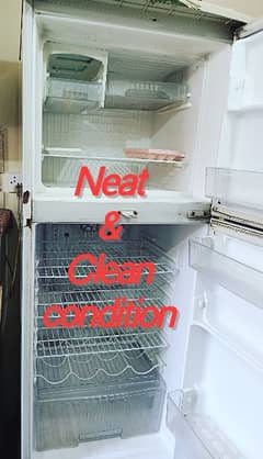 Neat & Clean Waves, Medium Size fridge