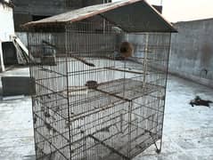 3 Portion Cage for sale