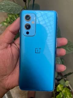 OnePlus 9 dual sim approved