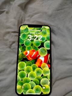 iphone 12 pro max physical dual pta approved 256 gb