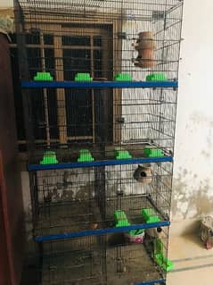 Master Cage for All Birds 1.5 by 1.5 Size 8 Portions