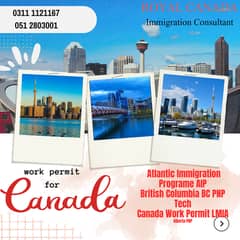 Canada work permit requirements for workers/Treval and Visa
