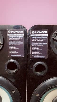 Pioneer Buffer x64T