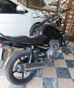 Yamaha YBR 125 for sale in Lush Condition