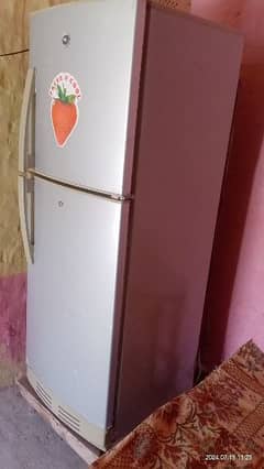 fridge Haier 03016981498