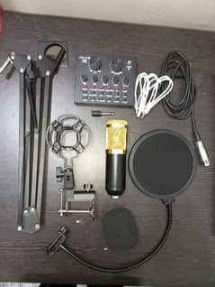 Microphone BM 800 original (with metal stand)