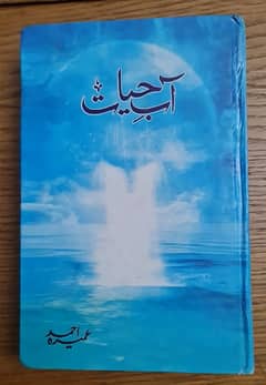 Umairah Ahmed s novel and stories collection