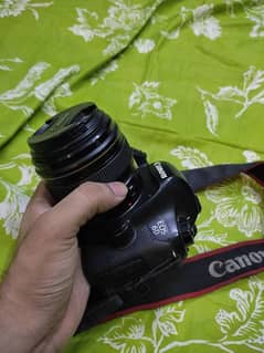 Canon 6D with 85mm 1.8 lens