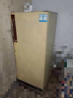 Kelvinator brand fridge for sale just compressor is not working