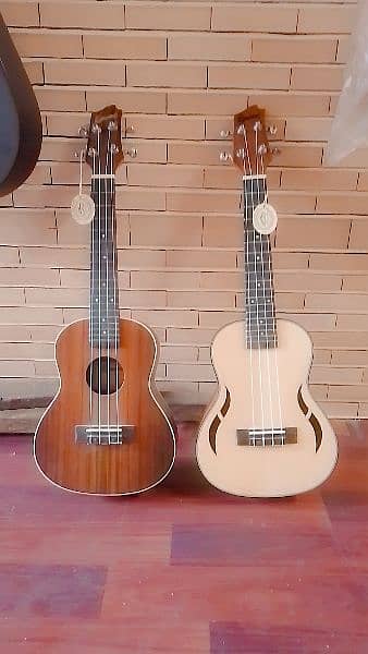 Ukulele 23" Imported bdx pack new 0