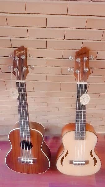 Ukulele 23" Imported bdx pack new 1