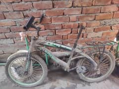 Bicycle Super Shaino