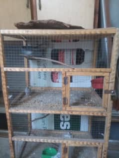 dove and cage