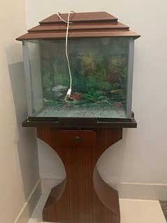Fish Aquarium new