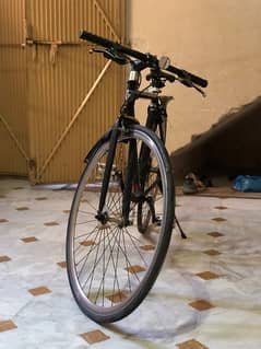 reunion sport Bicycle Lush Condition
