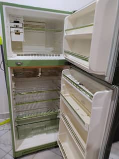 national fridge ( Japan)