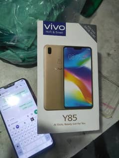 vivo