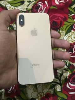 IPHONE XS GOLD WATERPACK 10/10