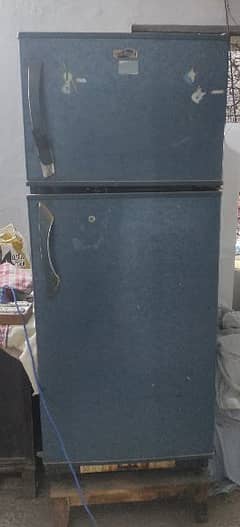 Medium Size Refrigerator