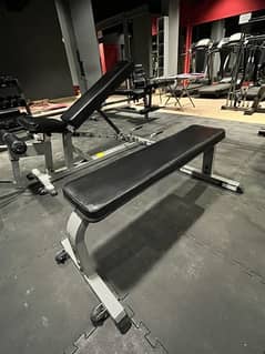 exercise equipment - flat bench