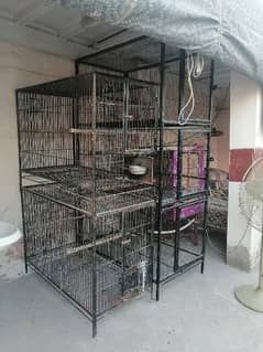 cages 03450542636