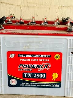 Phoenix tublar batteries