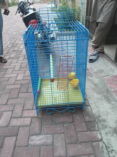 Raw parrot cage