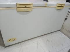 wave deep freezer double door