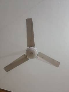 5 Fans available for sale