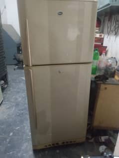 pel fridge