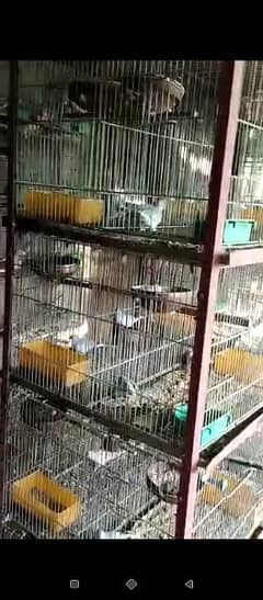 jahangir folding cage 10 portion very good condition size 1*1•5