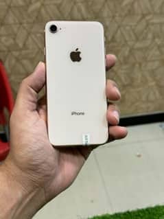 iphone 8 10by10 water pack