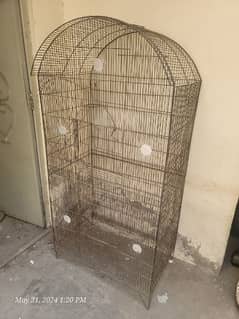 parrots bird iron cage
